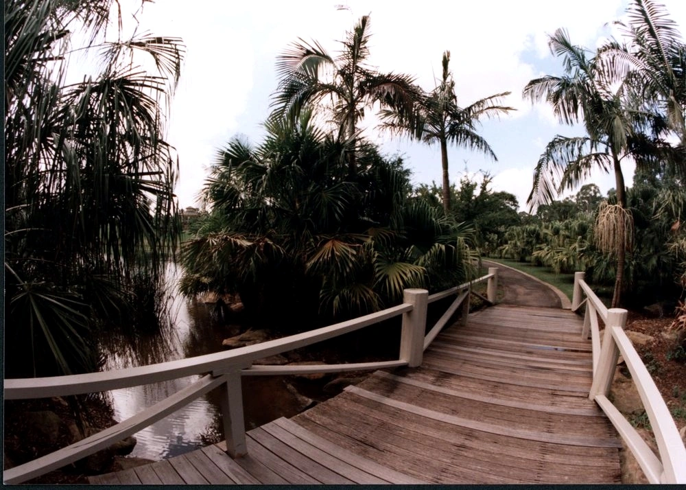 boardwalk_natural_colour_noborder.jpg
