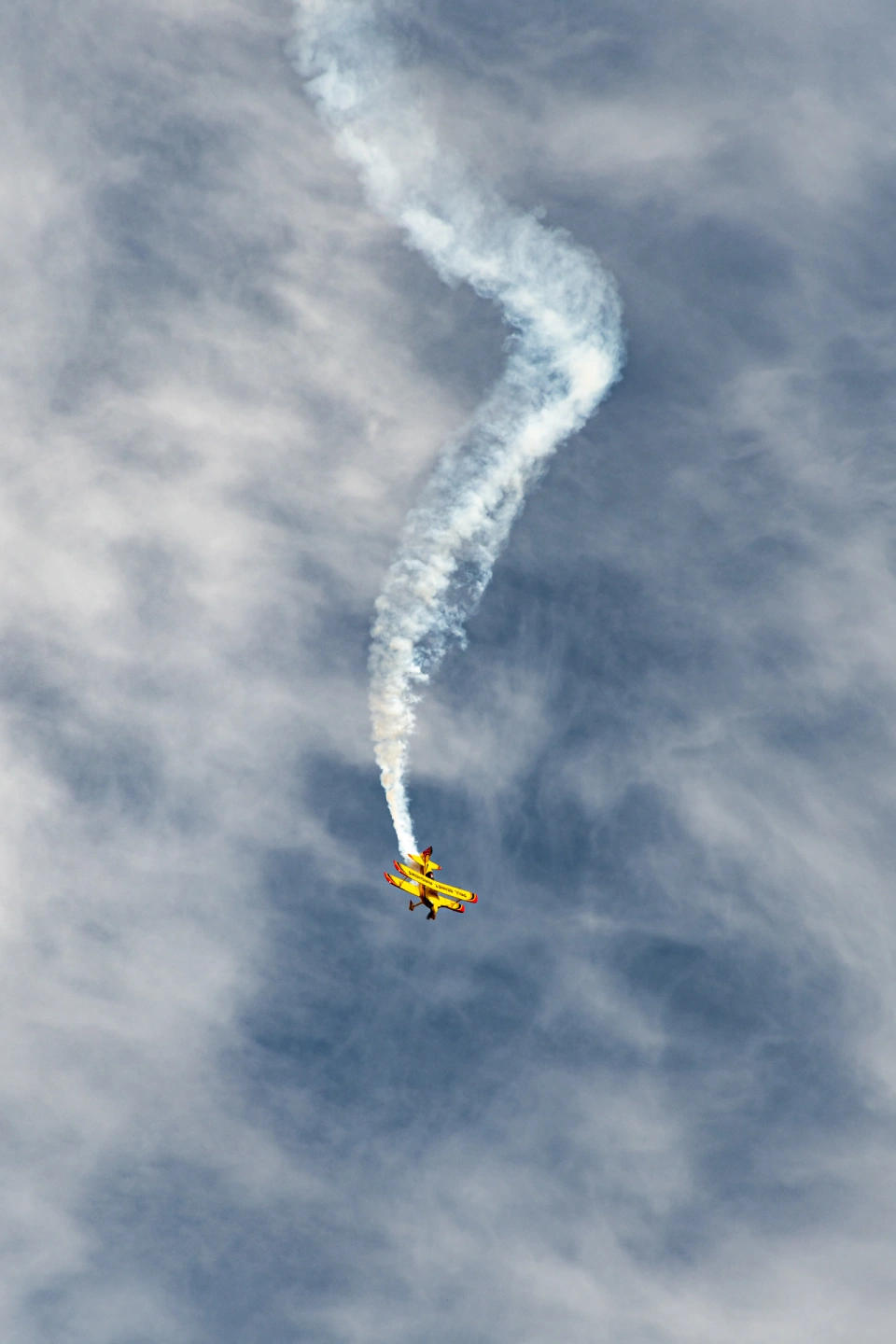 DSC_4514.jpg