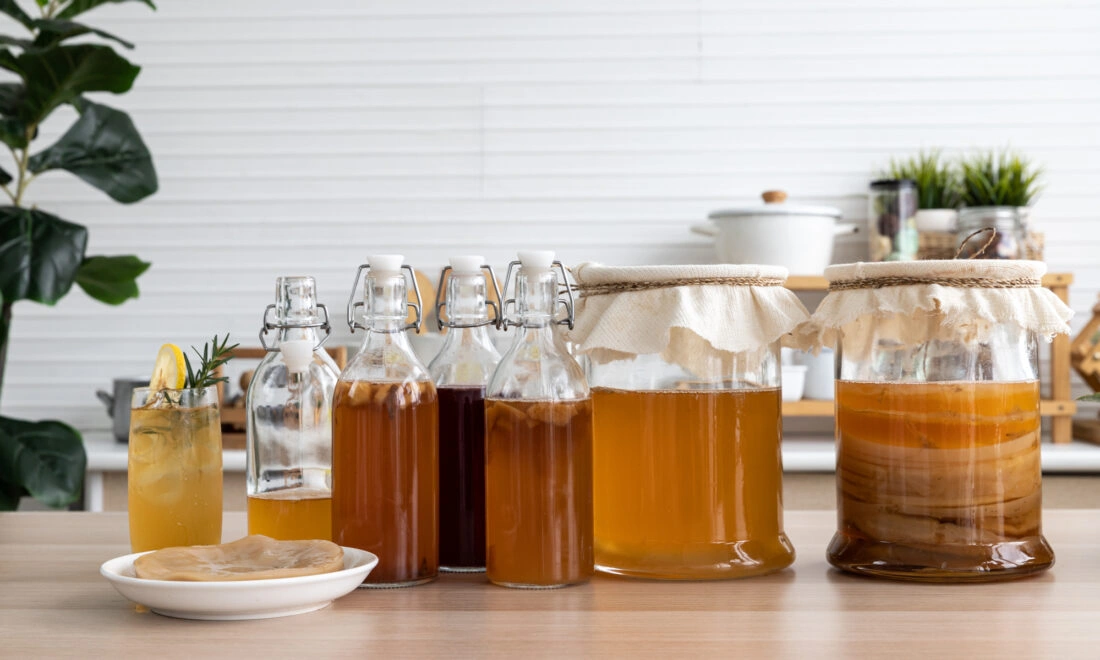 SCOBY-01.jpg