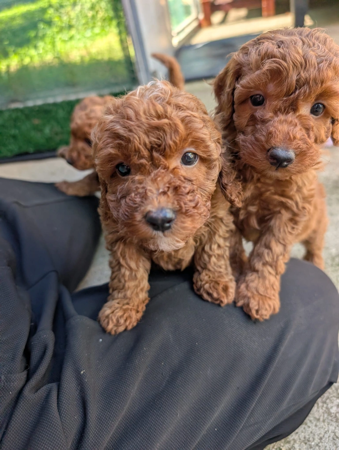 6 eeks - 2026-03-31 at 5.07.43 PM.jpeg