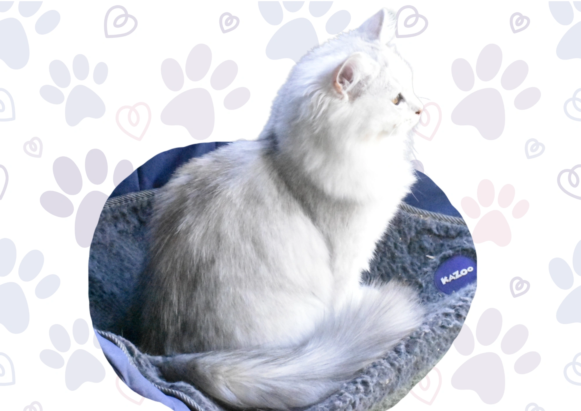 Untitled (29.7 x 21 cm) (18).png