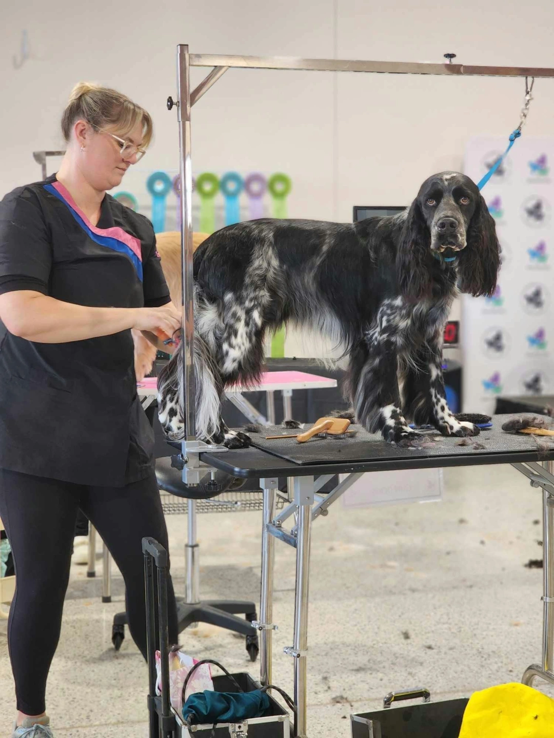 777435f3-cfd1-4443-b827-ab3331765403.jpg