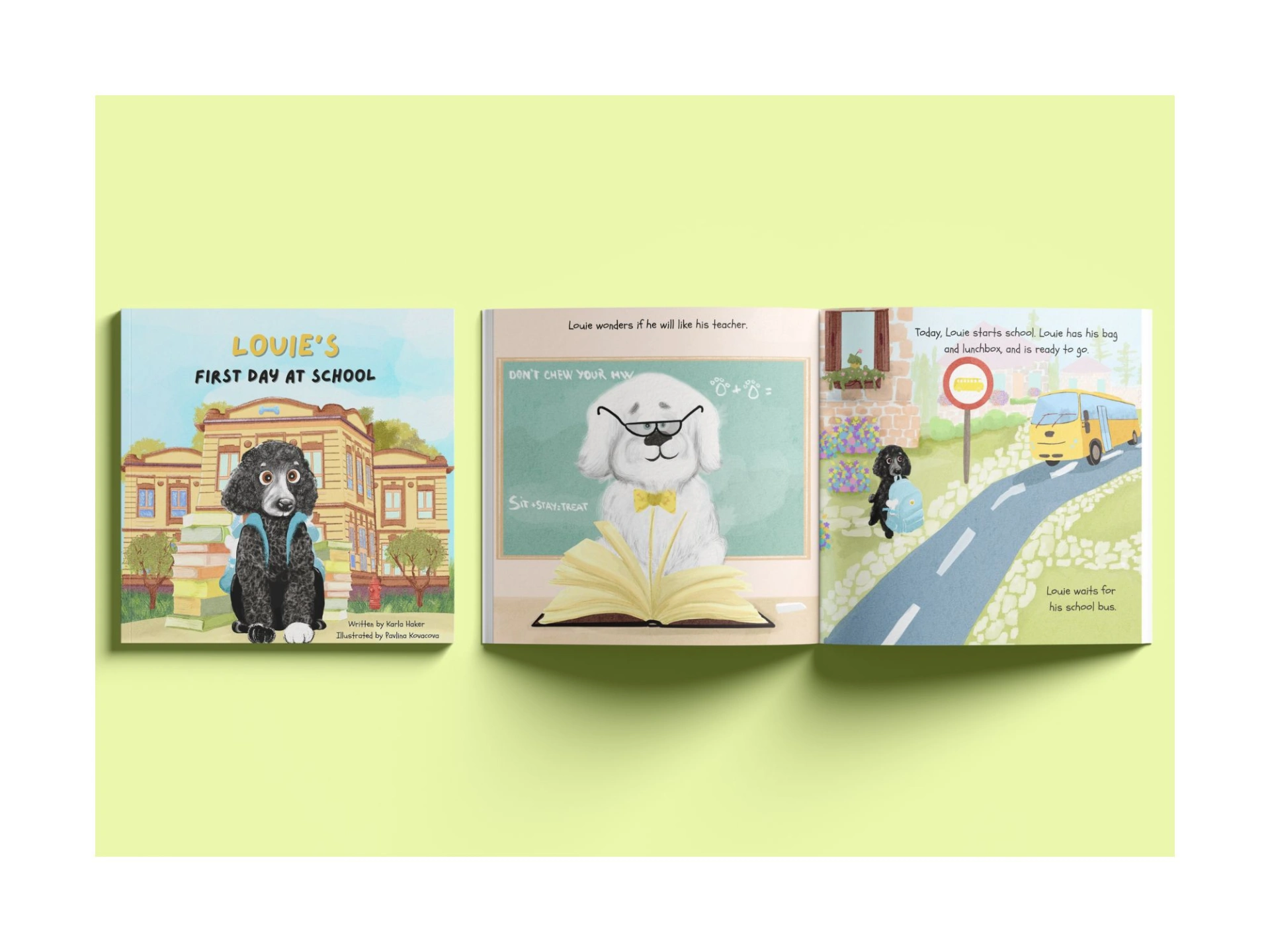 Book Illustrator mock up.jpg