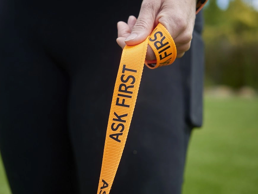 dogs and people 153.jpg