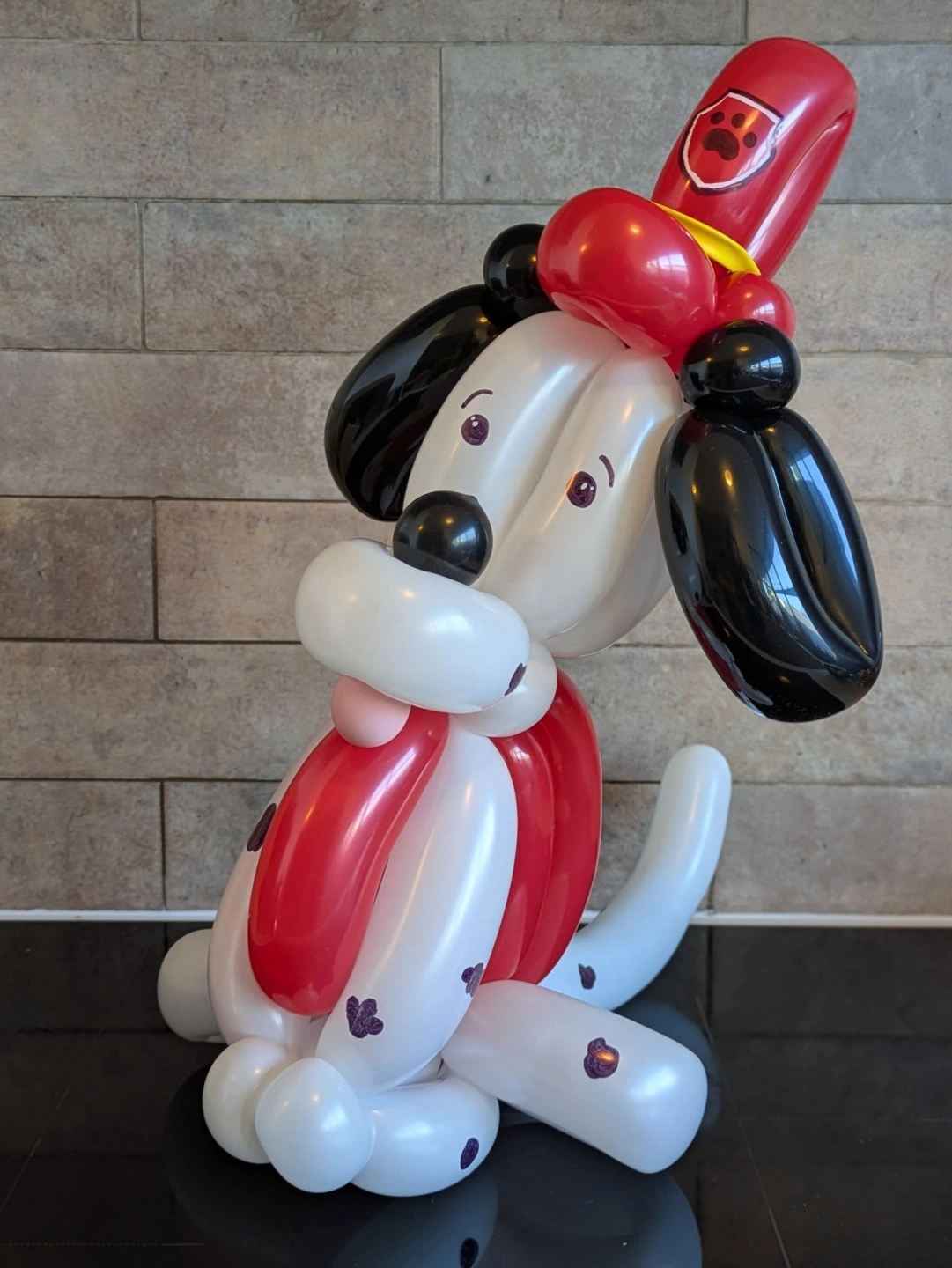 692036917_122262394772085879_2011486707395739730_n.jpg