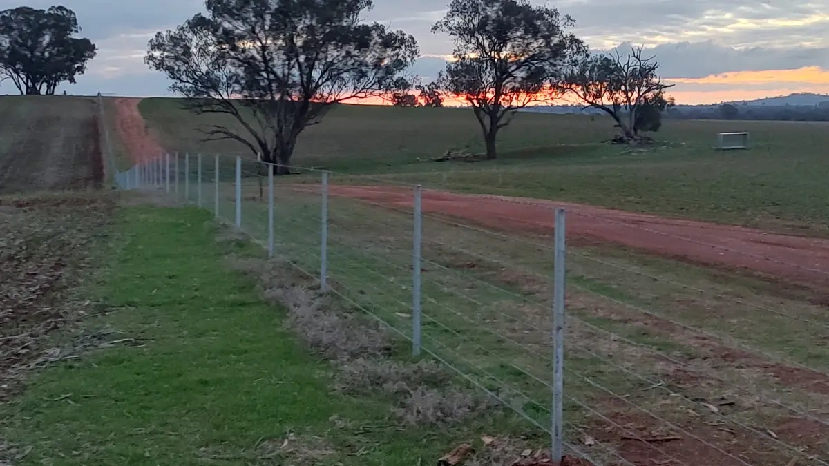 sunset gal fence resize compress.webp