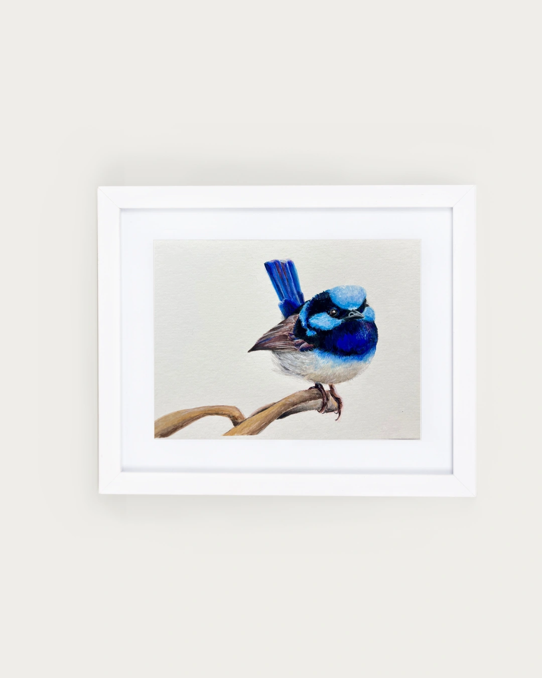Fairy wren mini framed print.png