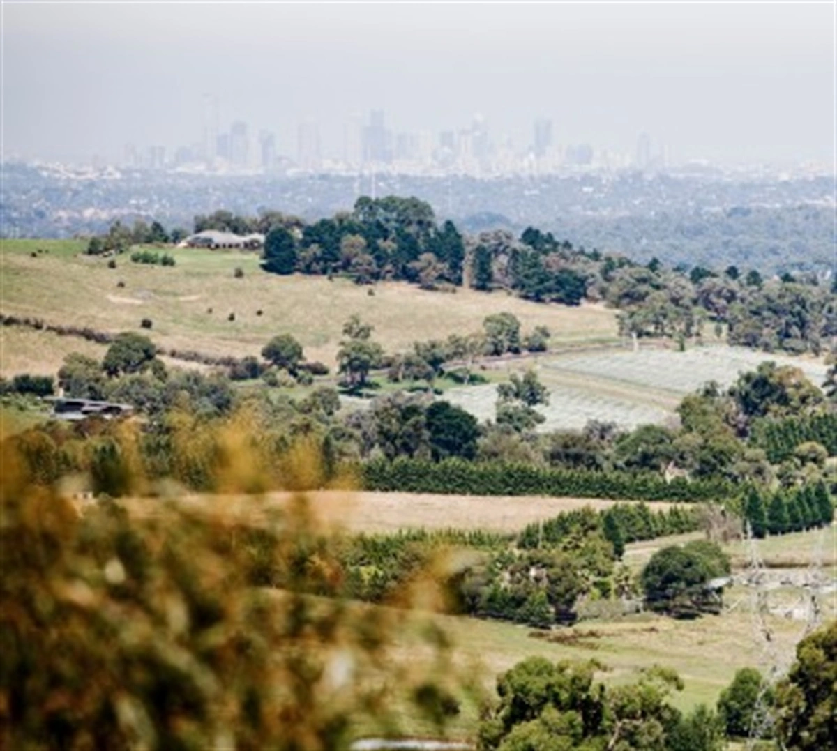 city-and-country-2.jpg