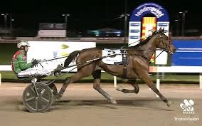 Mildura Trots.jpg