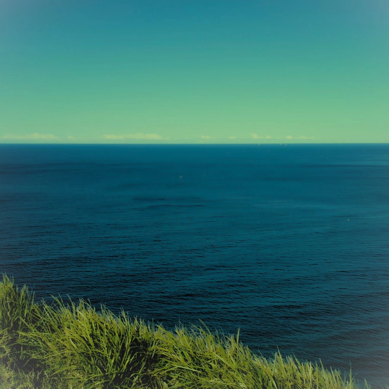 Untitled (Logo) (3).jpg