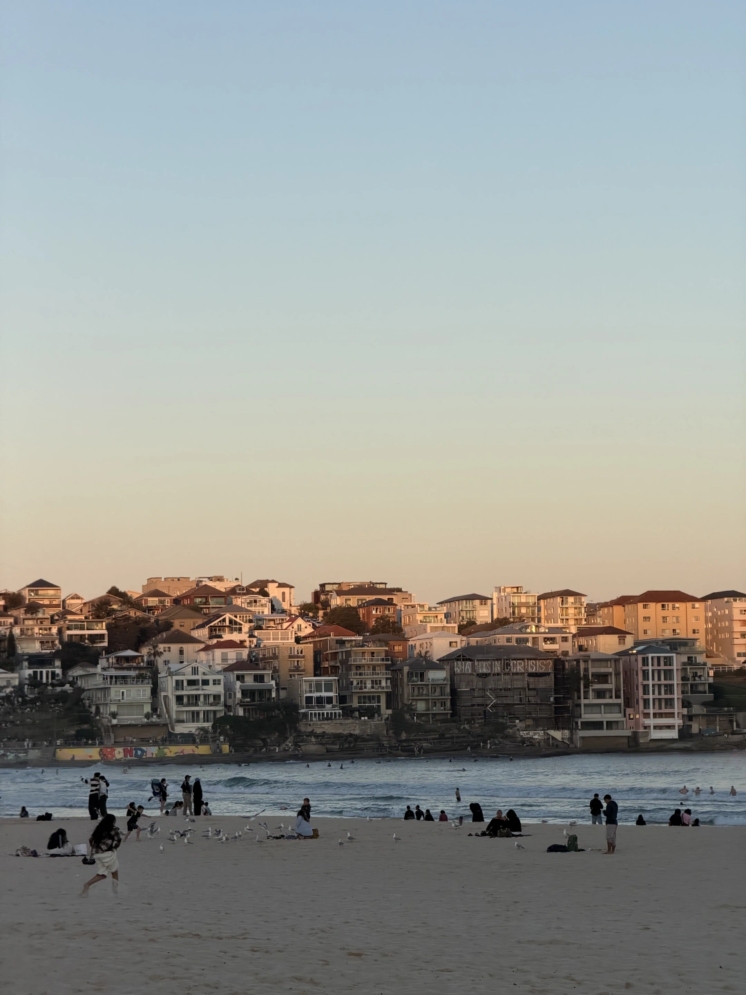 IMG_5603.jpeg