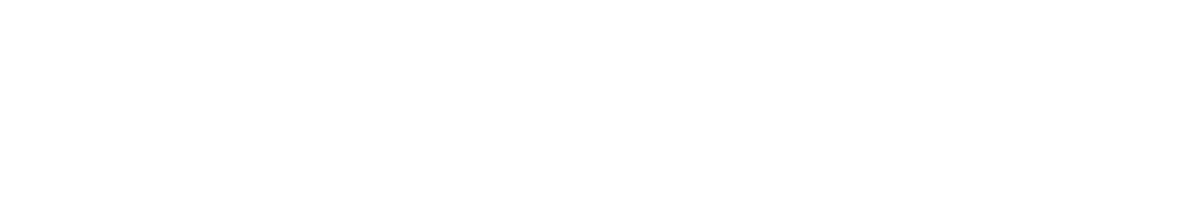 That Guy Bespoke Media