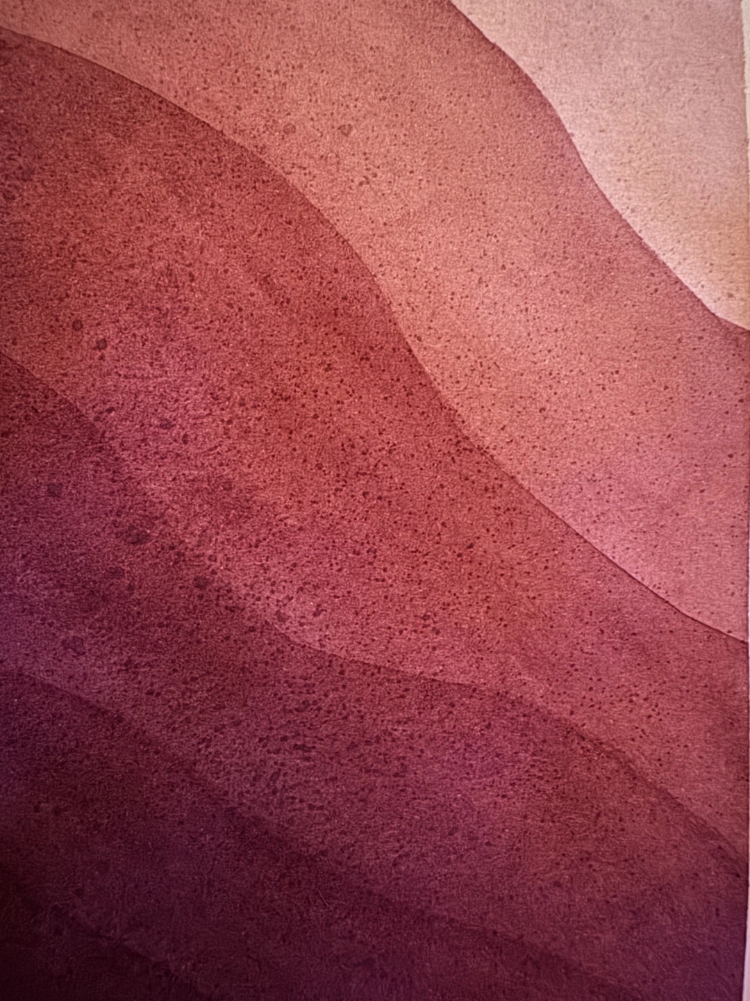 IMG_8004.jpeg