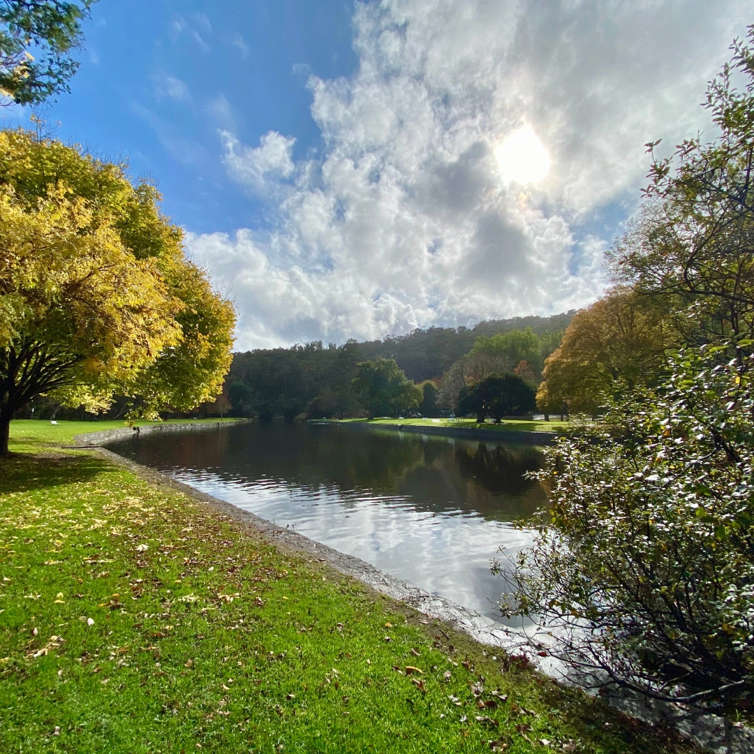 ESG Aligned Digital Presence.png