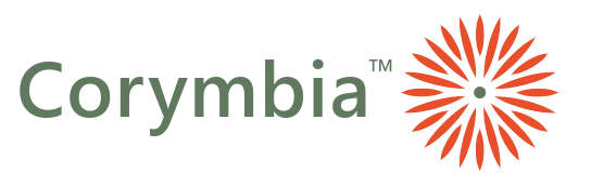 Corymbia