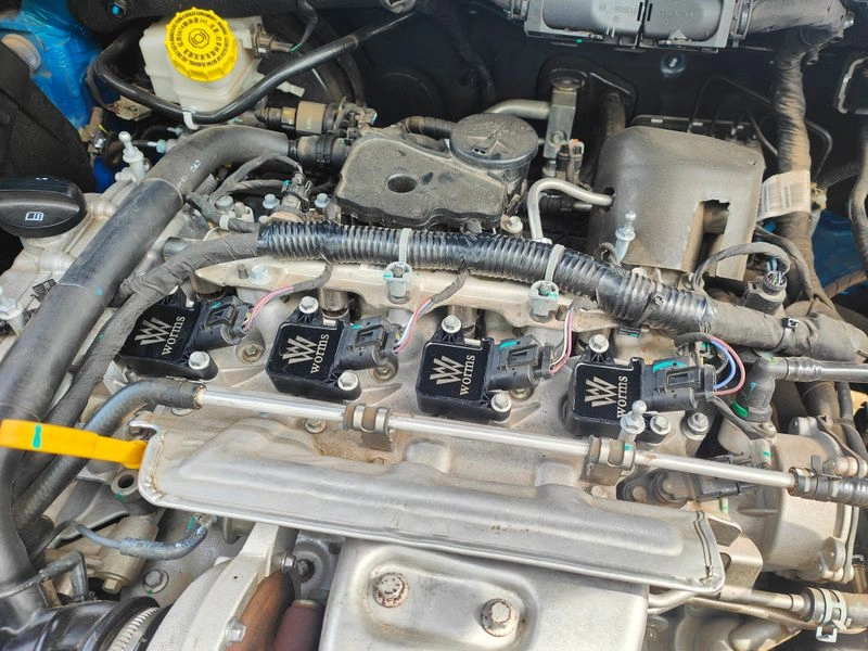 Worms coils intalled..jpg