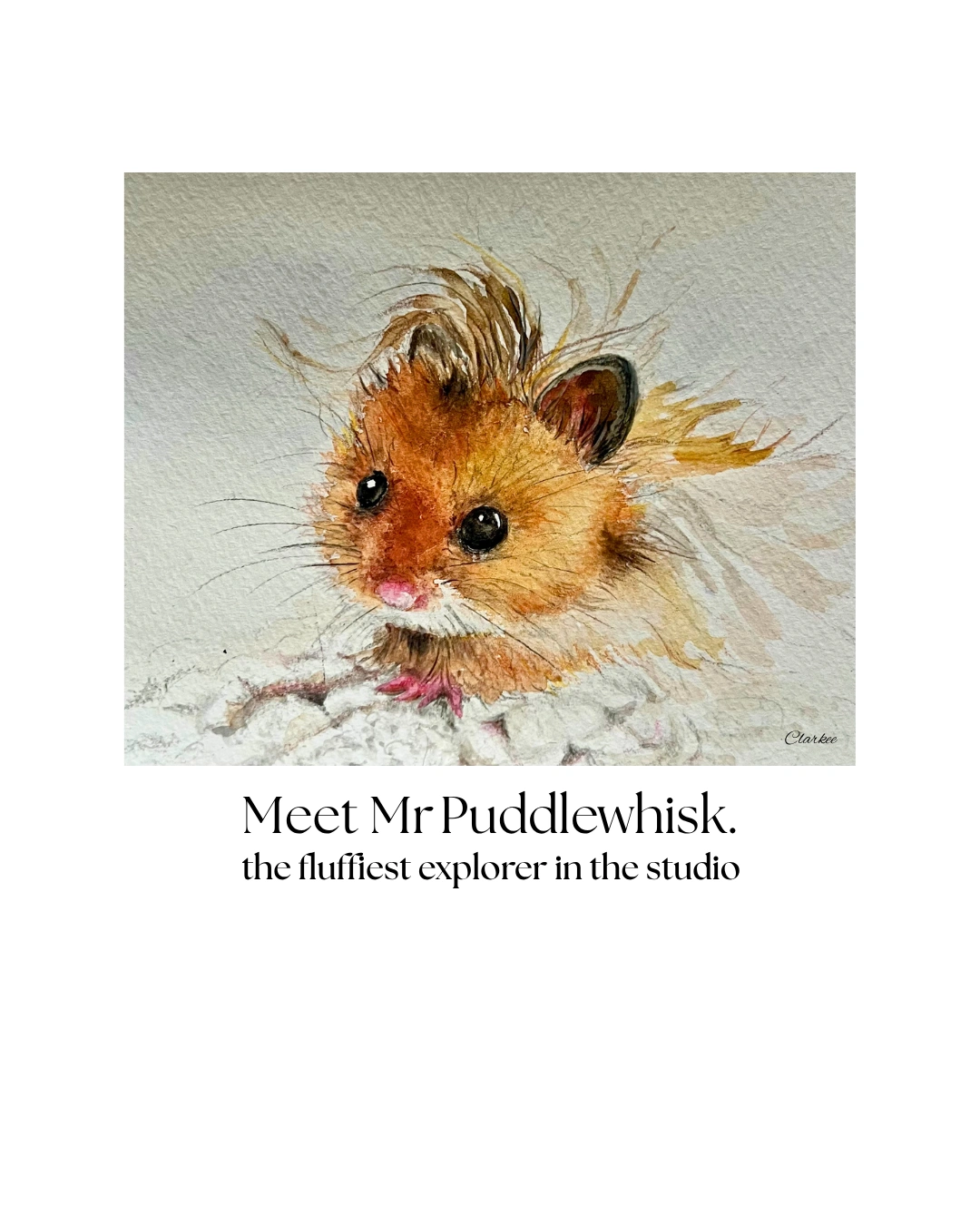 Mr Puddlewhisk.png