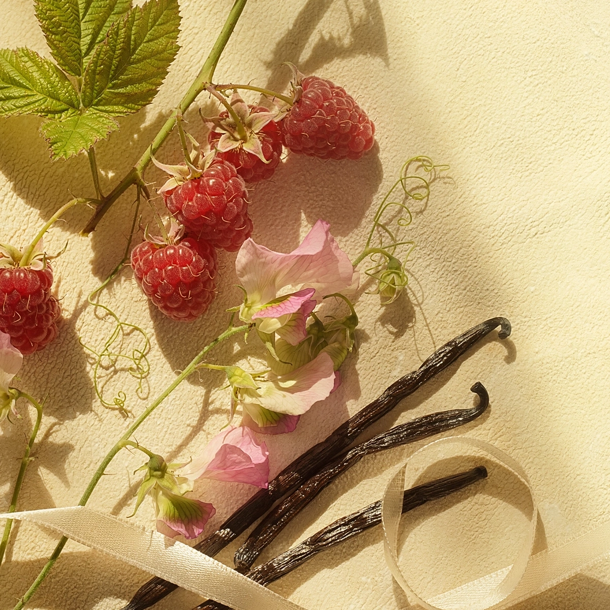 1200x1200SCENTScentNotesSweetPeaVanillaRA2026_highres.webp