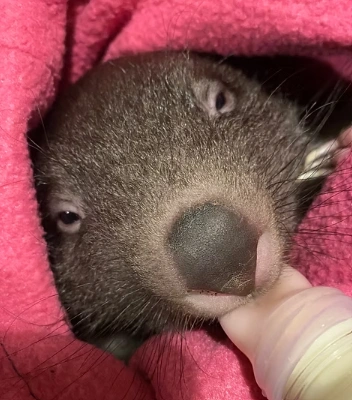 Screenshot 2026-02-17 203458.png