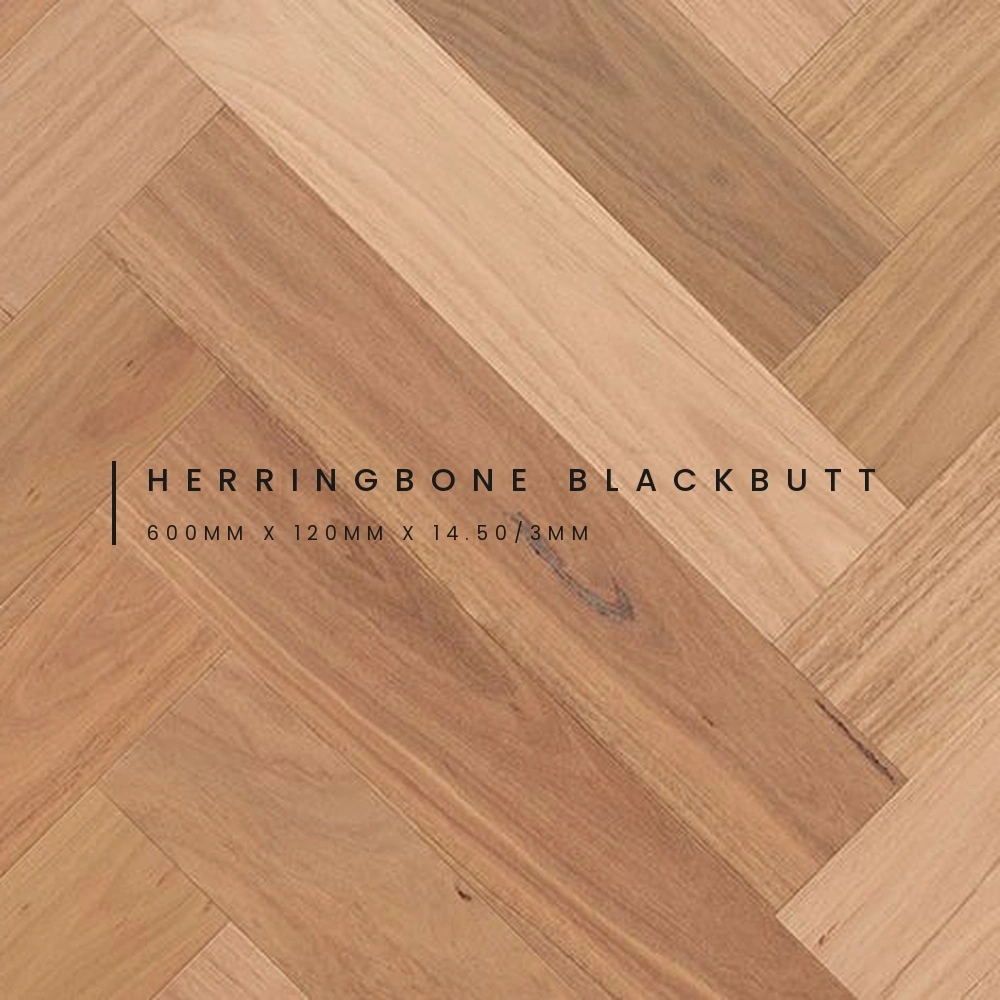 blackbutt_labeled.jpg
