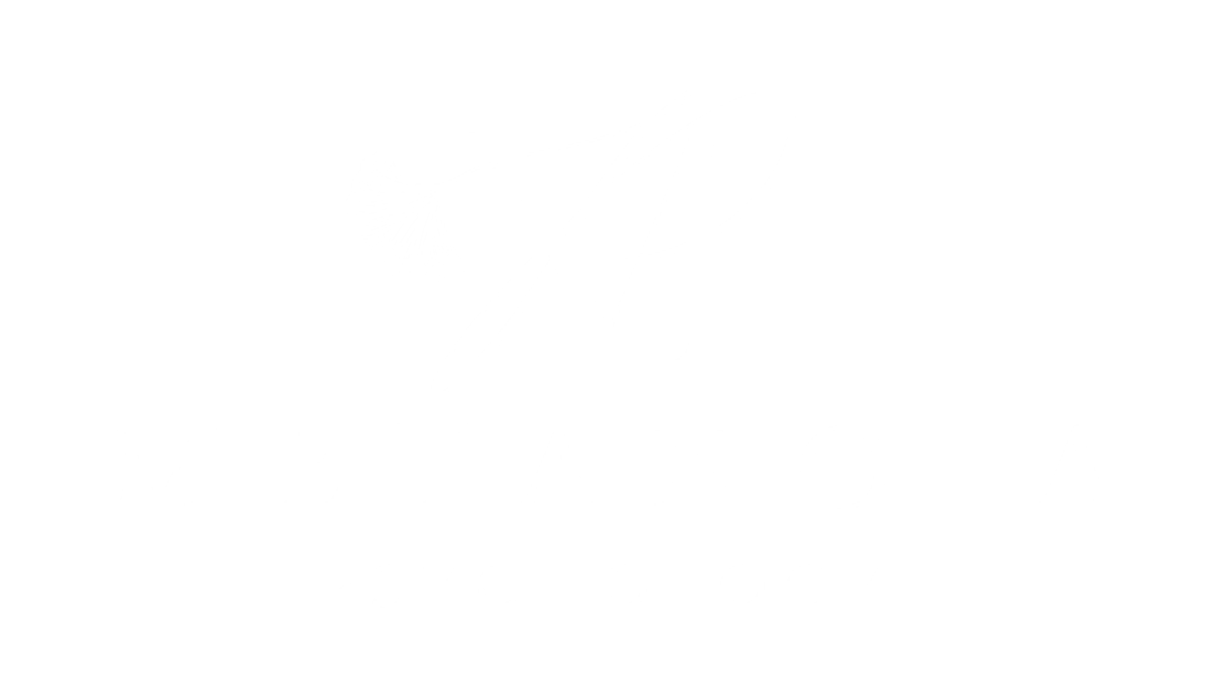 Metanoia Psychology