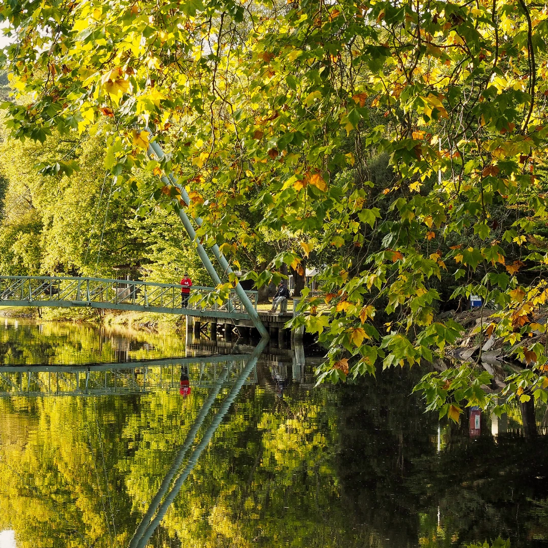 ESG Visibility Pack.png