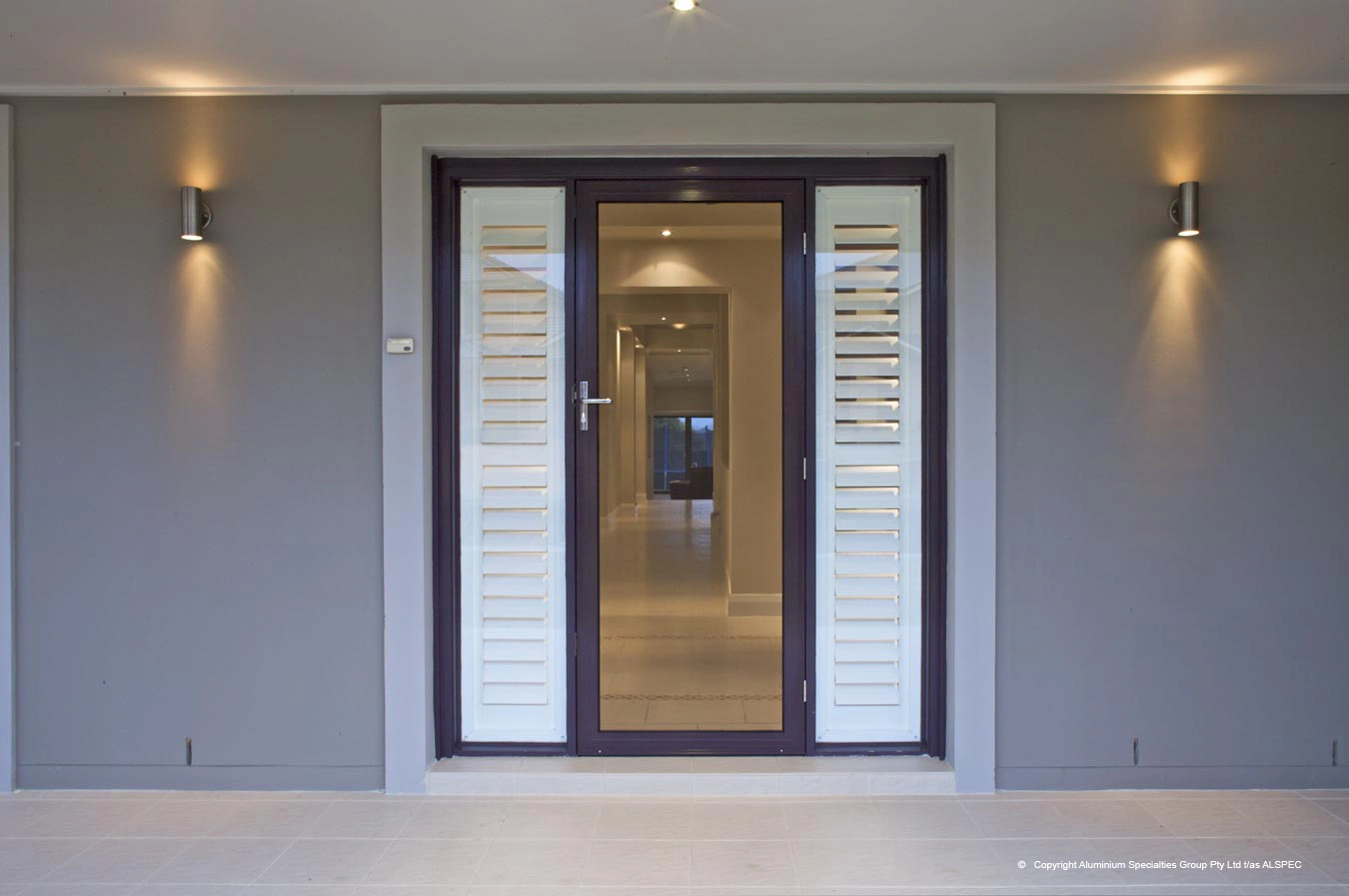 Hinged Security Door Standard.jpg