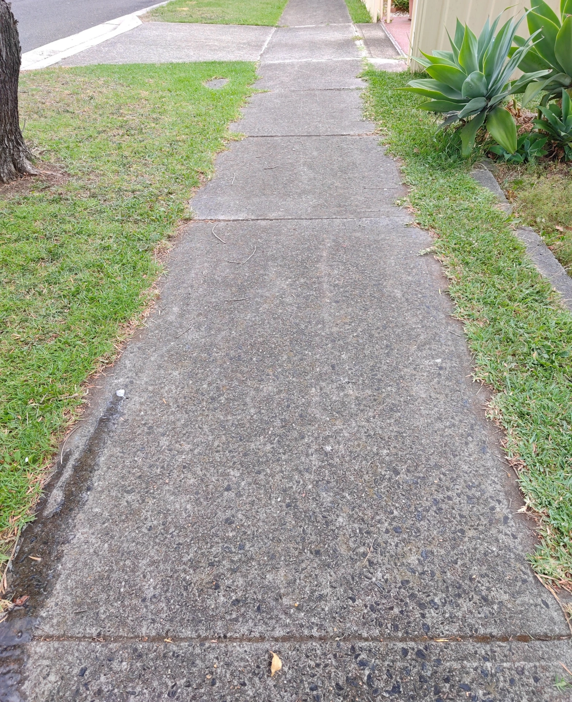 footpath before.jpg
