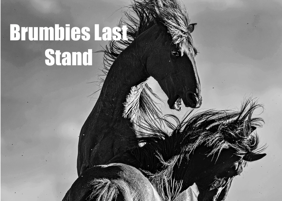 Brumbies Last Stand new thumbnail.png