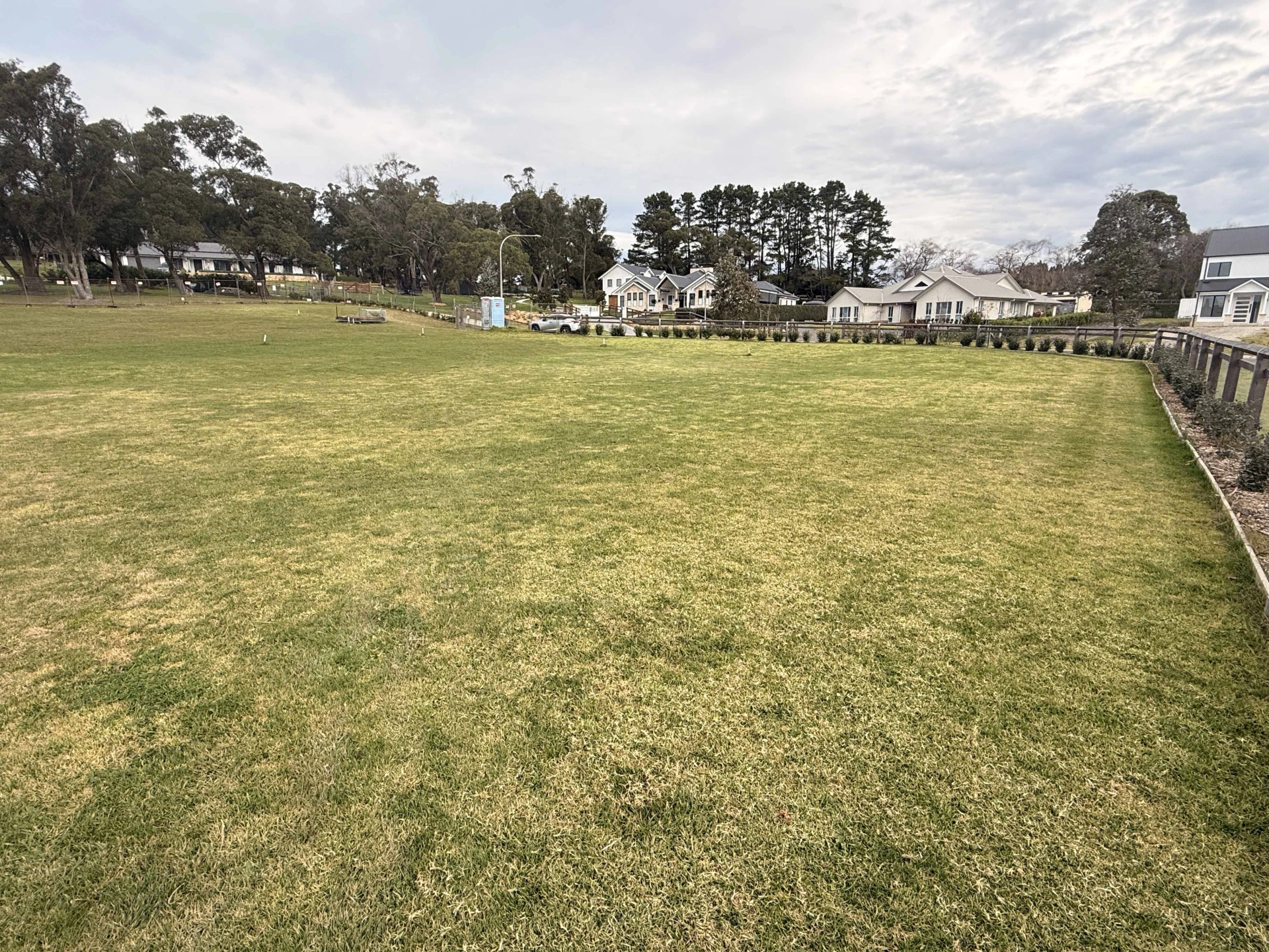 land mossy 1.jpg
