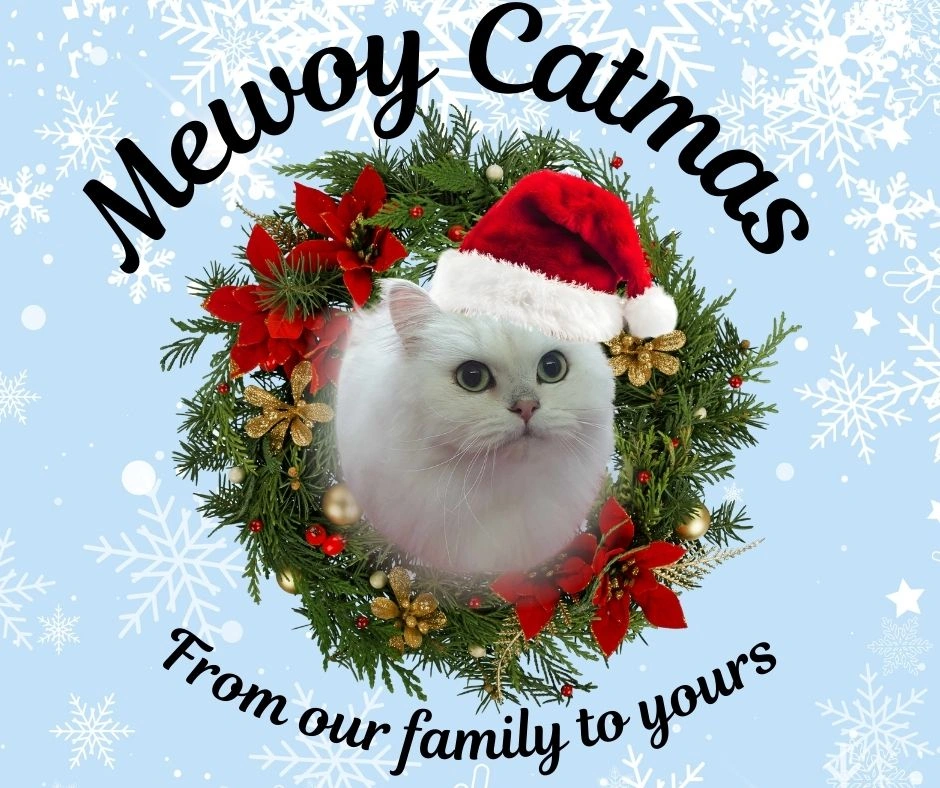 Mewoy Catmas.jpg