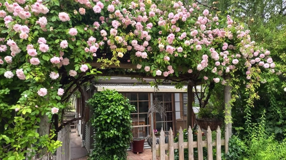 Tumblers Green 2.jpg