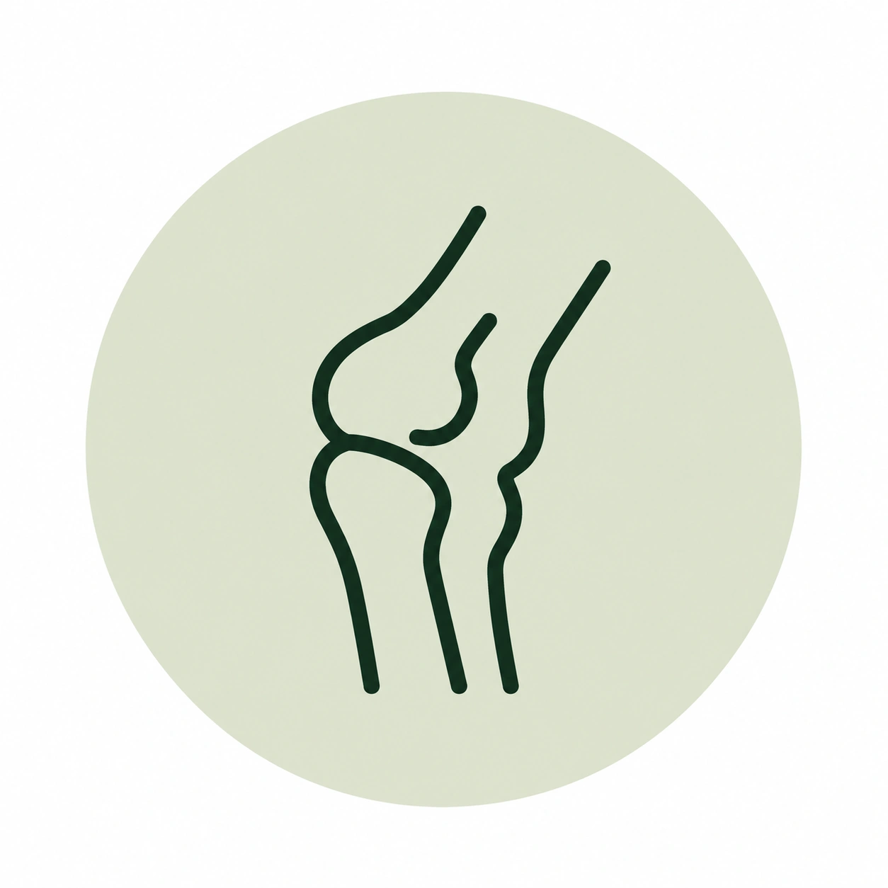 Isolated knee joint icon on white.png