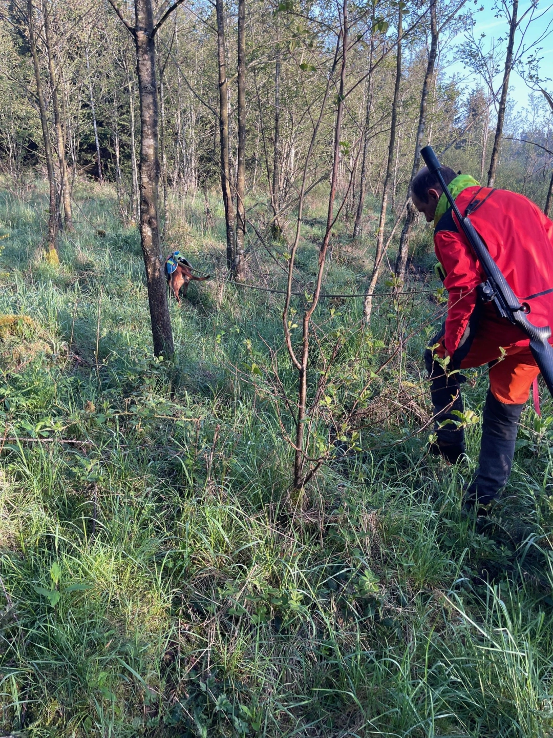 Working Dogs on Scent & Track 1.jpg