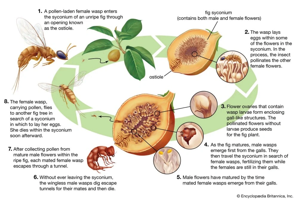 Screenshot 2026-01-12 214317.jpg