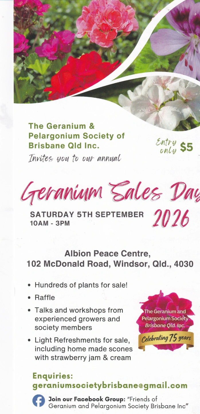 geranium.jpg