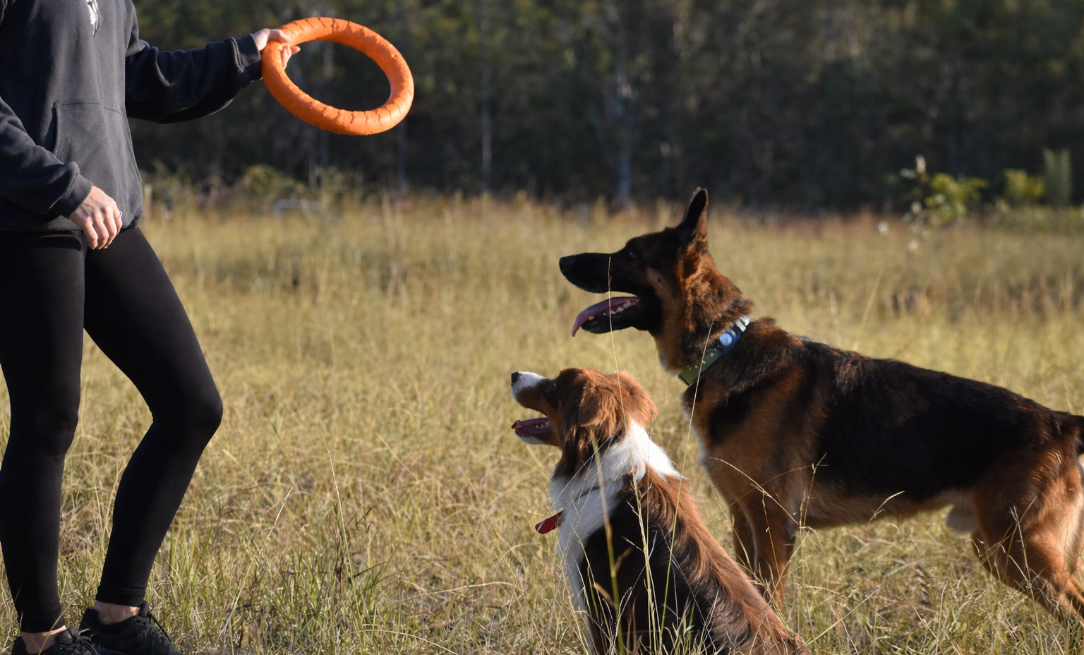 ChatGPT Image Mar 14, 2026, 11_14_03 PM1hy6fh56.png