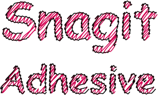 Snagit Adhesive
