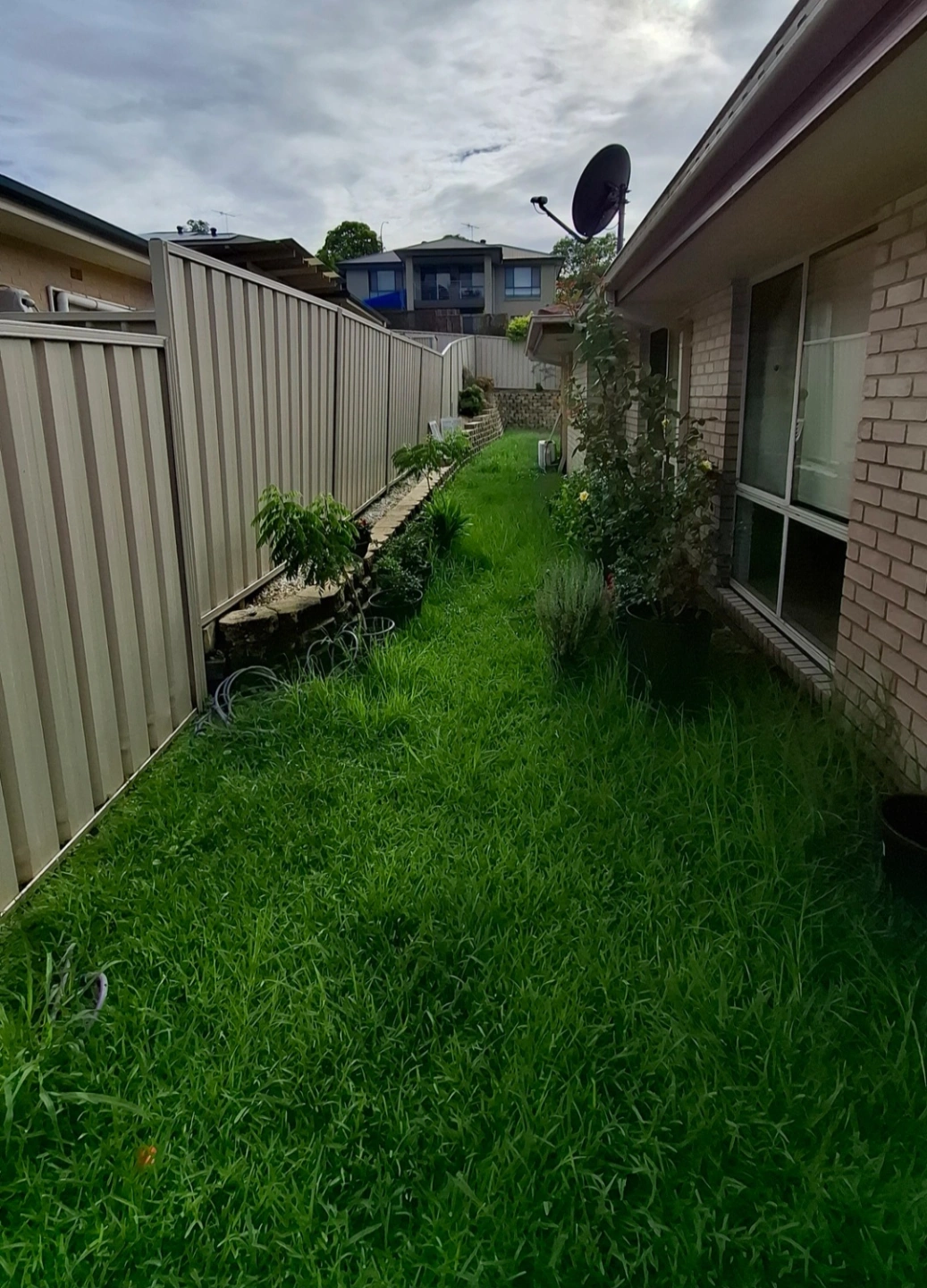 Client A Side Yard Before.jpg
