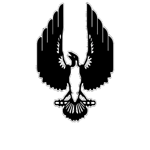 Implementation Timeline