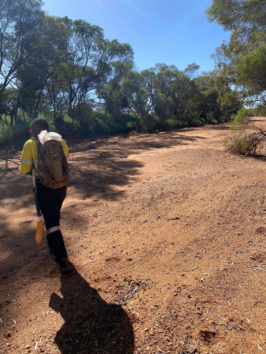 Soil survey1769329160 (1).jpg