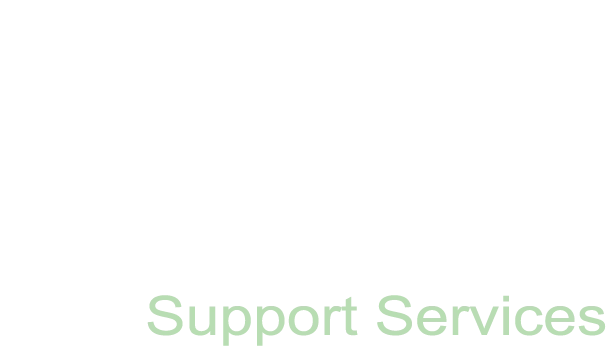 suzie@sleepapneasupportservices.com                            GA4