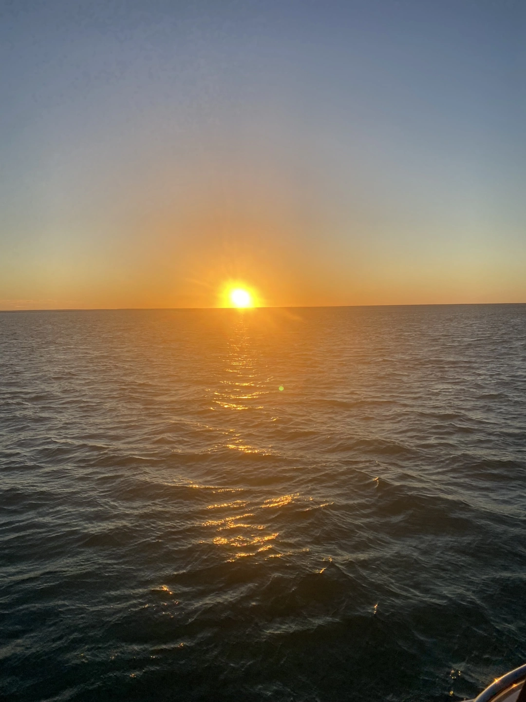 IMG_6690.JPEG