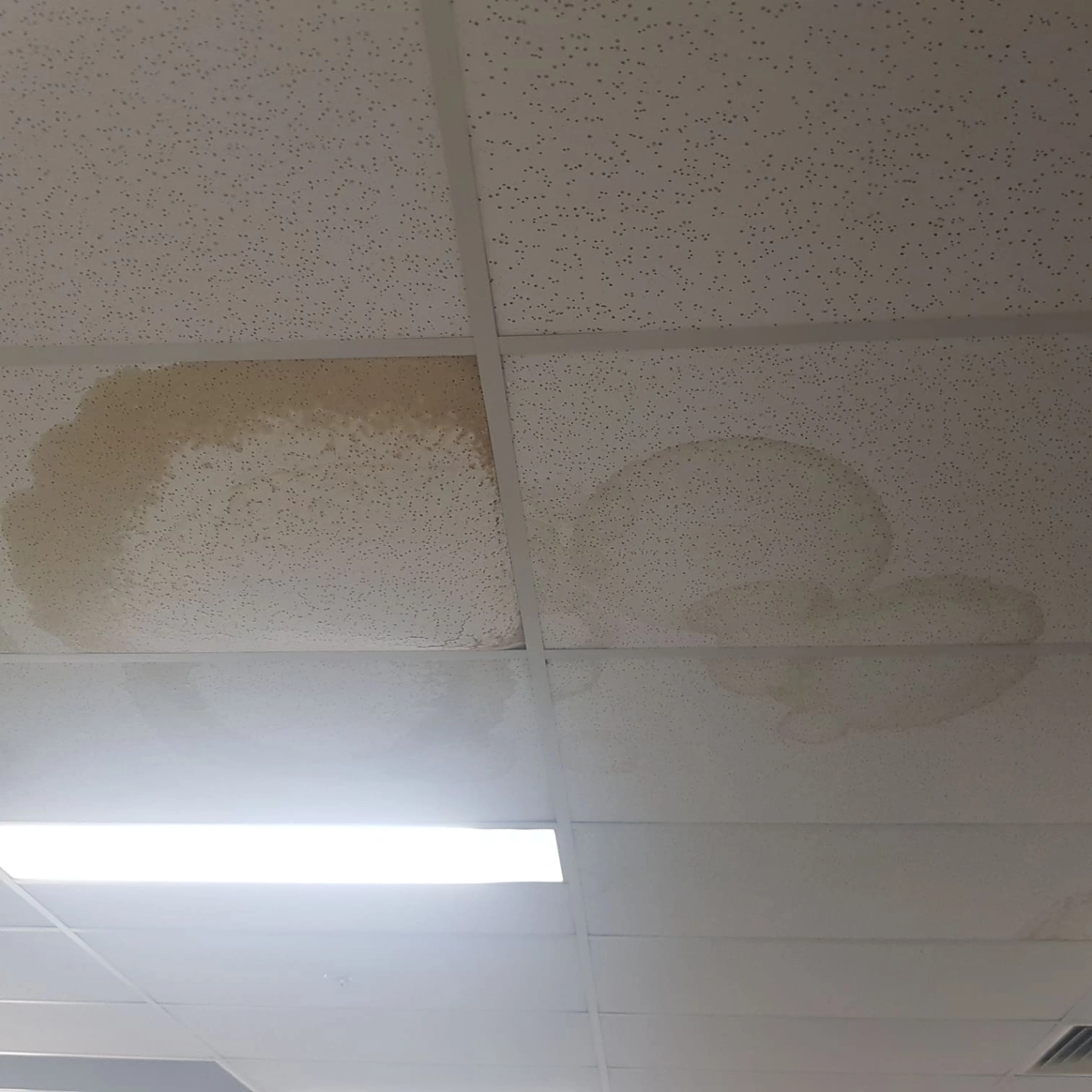 Stains from roof leaks on the ceiling 2.jpg