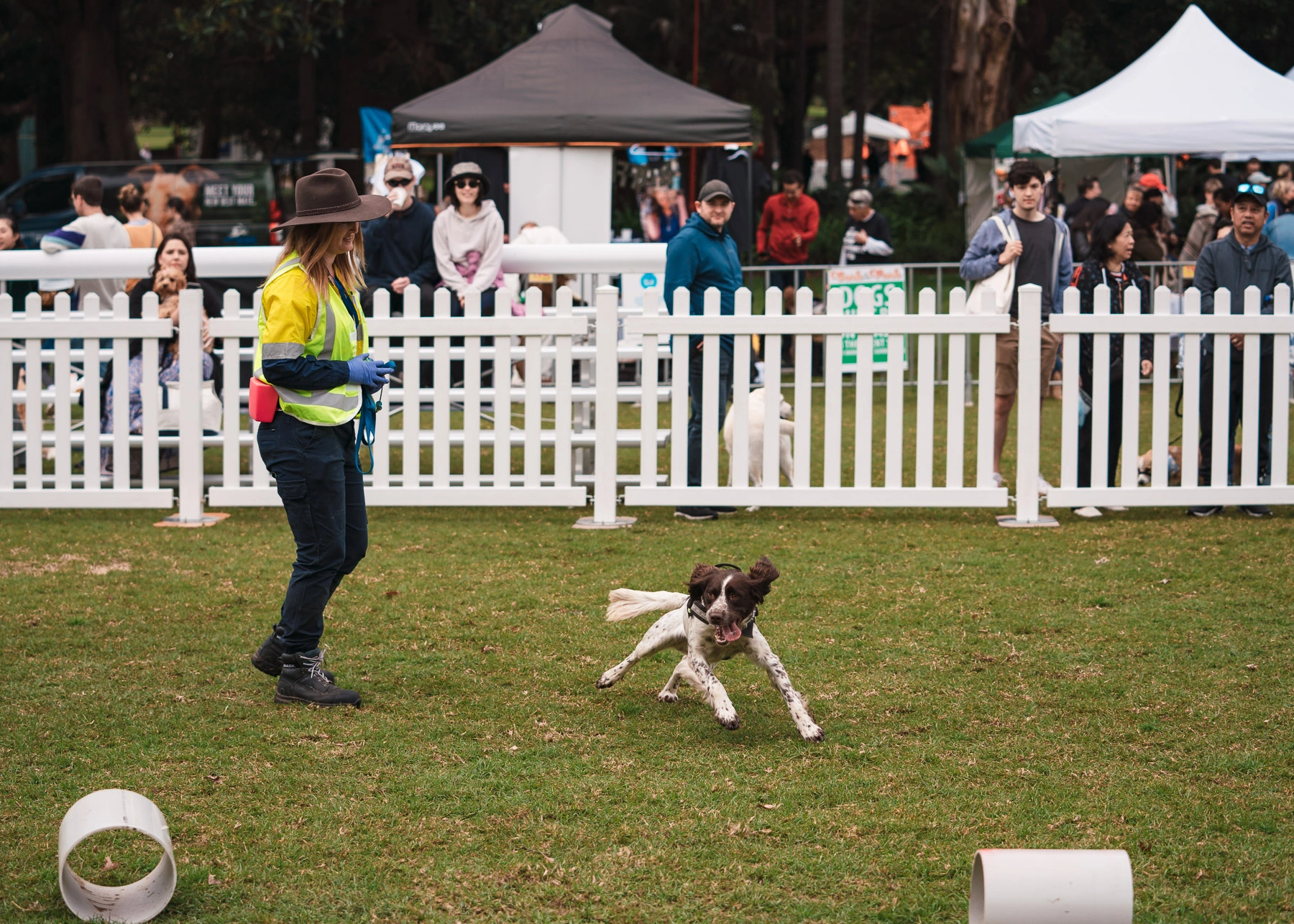 Bark in the Park_web (81).JPG