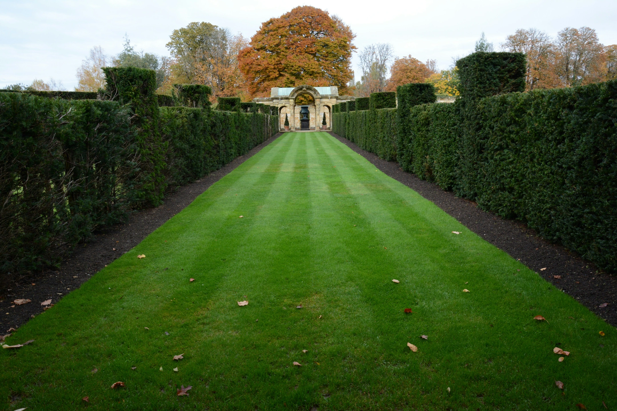 Advanced Lawn Care.jpg