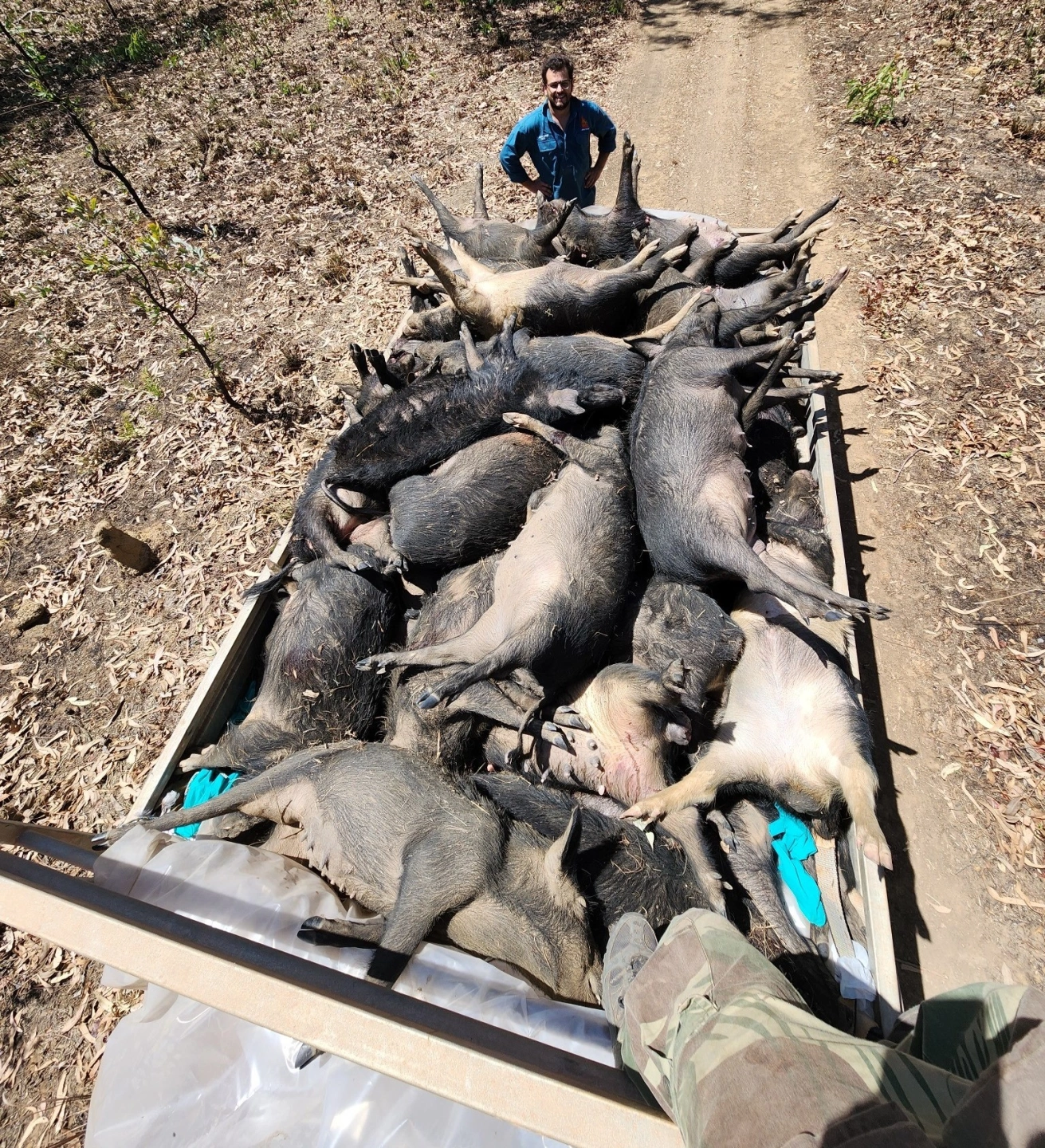 invasive_pest_solutions_pig_trailer_photo_2 (1).jpg