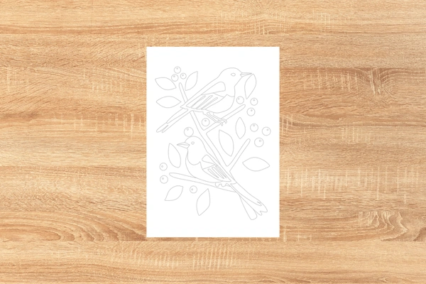 38-PNS-Outline-Bird.png