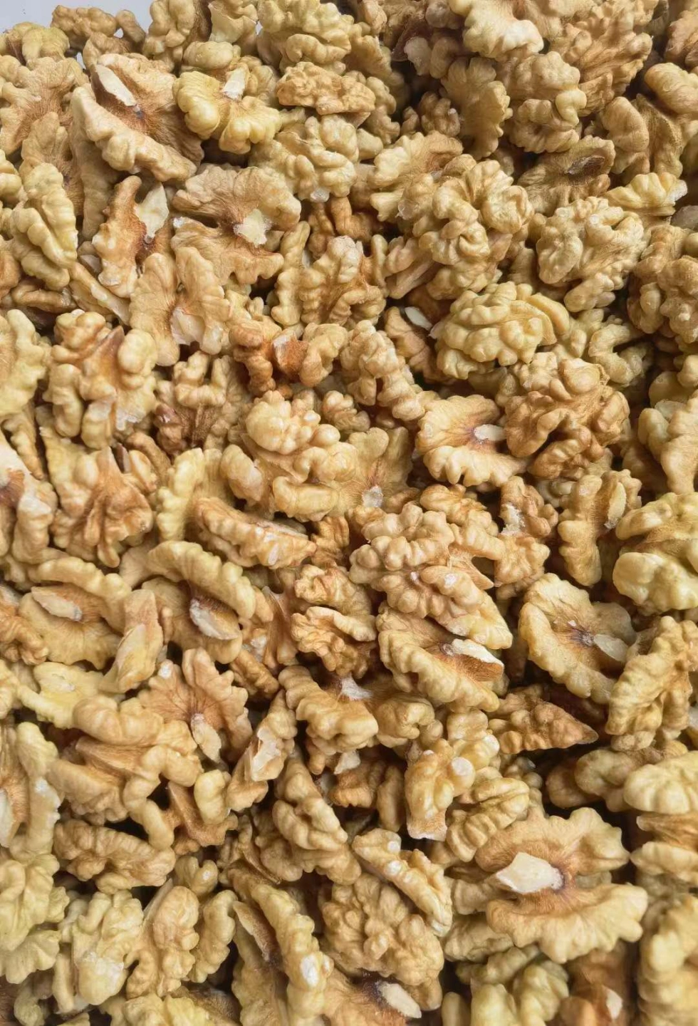 Walnut.jpg