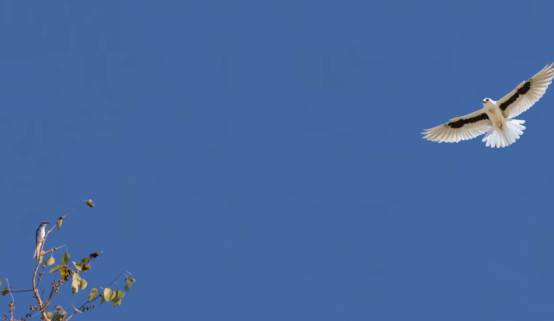 Screenshot 2026-09-24 143834.png